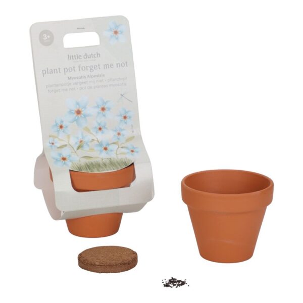 Maceta Planta No me Olvides Little Dutch - Imagen 2