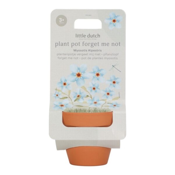 Maceta Planta No me Olvides Little Dutch