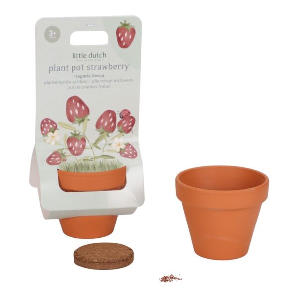 Maceta Planta Fresas Little Dutch - Imagen 2