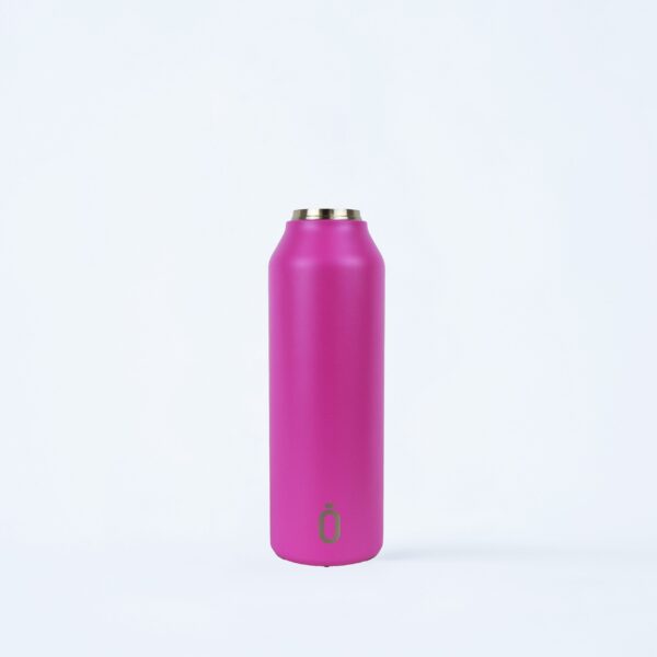 Bougainvillea Mii 60 Runbott - Imagen 2
