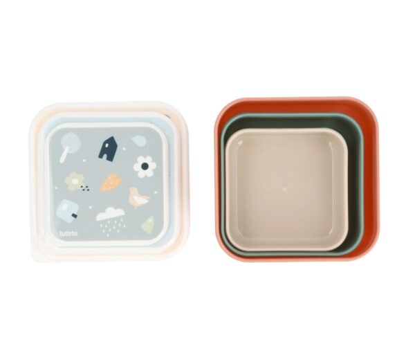 3 Cajas Almuerzo Geometric Nature - Imagen 4