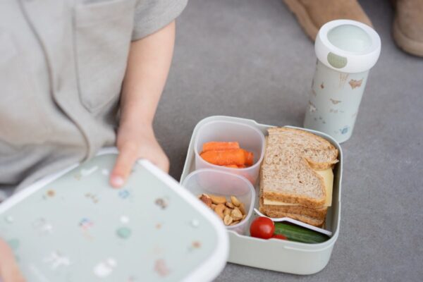 Caja Bento Campus Grande Pequeña Granja Little Dutch - Imagen 4